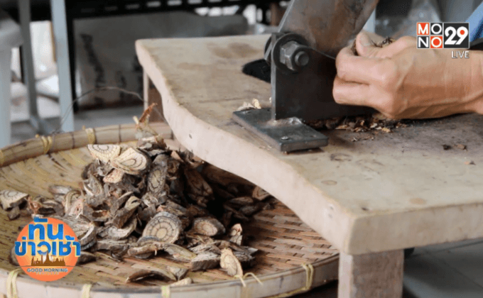 Big HERO คนดีบ้านฉัน : อ.ทัศณี รัตนรามาHERO ผู้พัฒนาการแพทย์แผนไทยเพื่อชุมชน ตอนที่ 3/5