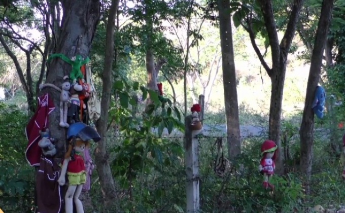 ขวัญผวา มือดีแขวนซากตุ๊กตา ริมทางโค้ง