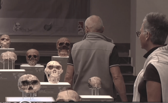 นิทรรศการยุคหินในจอร์เจีย