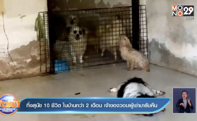 ทิ้งสุนัข 10 ชีวิต ในบ้านกว่า 2 เดือน เจ้าของวอนผู้เช่ามารับคืน