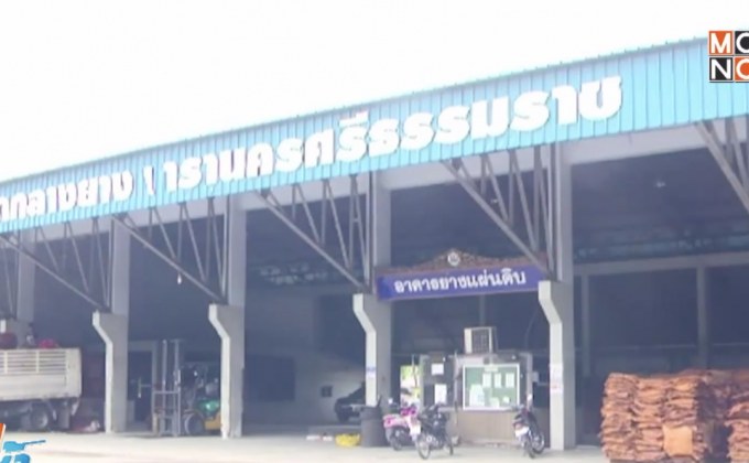 แกนนำชาวสวนยางเดินหน้ายื่นหนังสือ ก.เกษตรฯ วันนี้