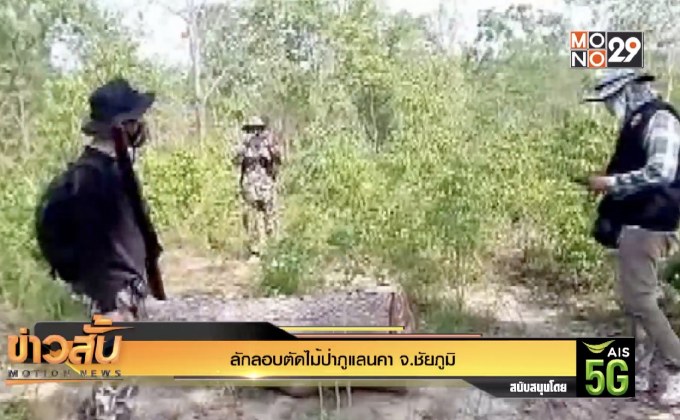 ลักลอบตัดไม้ป่าภูแลนคา จ.ชัยภูมิ