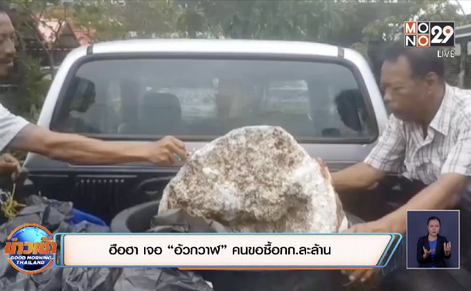ฮือฮา เจอ “อ้วกวาฬ” คนขอซื้อกก.ละล้าน