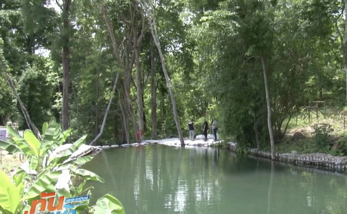 คืบหน้าจัดตั้งป่าชุมชนสำเร็จเกินคาด