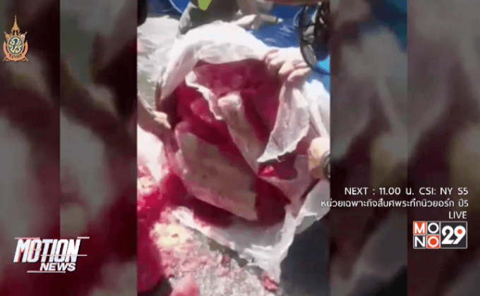 โคลอมเบียควบคุมเรือลักลอบขนยาเสพติด