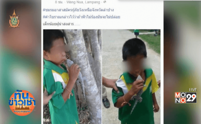 น่าสงสารเด็กน้อย โดนตุ๊กแกกัดปากไม่ปล่อย