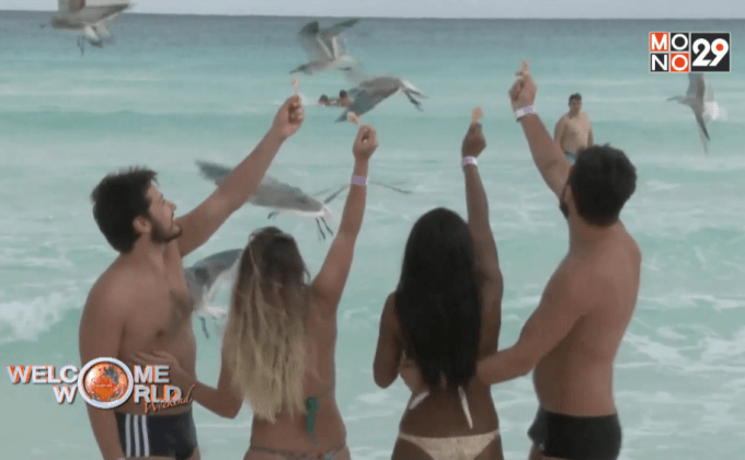 นักท่องเที่ยวกังวลไวรัสซิกาในเม็กซิโก