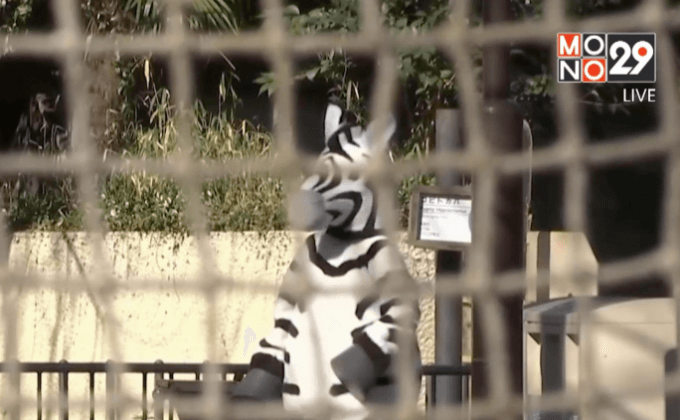 สวนสัตว์ญี่ปุ่นซ้อมรับมือสัตว์แหกกรง