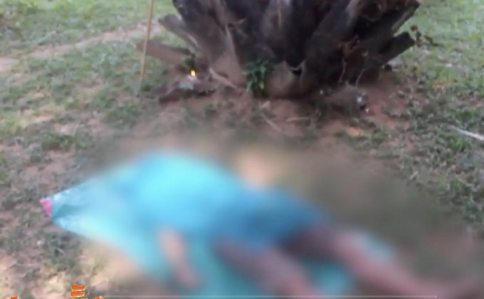 ผู้ต้องหาคดีไม้พะยูงผูกคอเสียชีวิตในอุทยานฯทับลาน