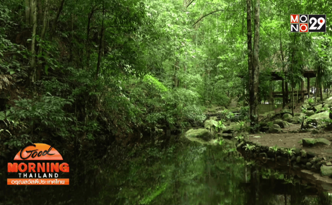 คนอยู่กับป่า ร่วมอนุรักษ์น้ำจ.เชียงใหม่