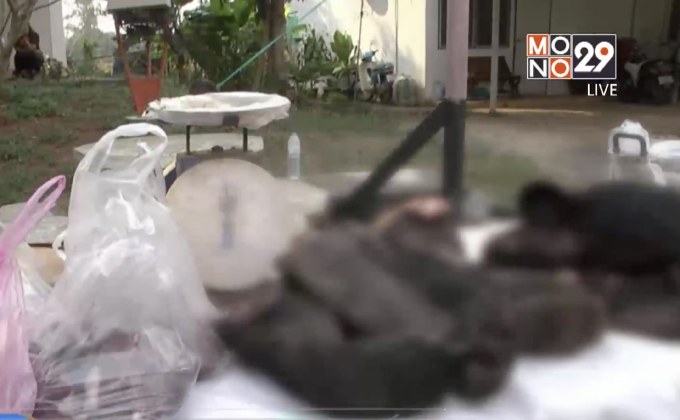 ชำแหละซากหมีควายเตรียมจำหน่าย จ.นครราชสีมา