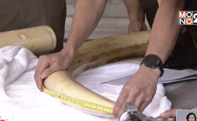 “เปรมชัย” ปฏิเสธครอบครองงาช้าง ศาลไฟเขียวบินนอก