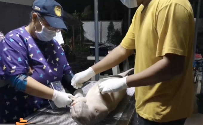 หารือสตัฟฟ์ “ยามีล” เพื่อศึกษา-เตือนใจอนุรักษ์พะยูน