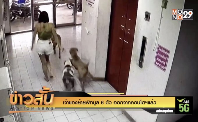 เจ้าของย้ายพิทบูล 6 ตัว ออกจากคอนโดฯแล้ว