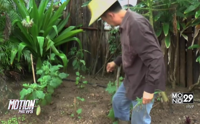 อากาศแปรปรวนกระทบพืชเกษตรภาคเหนือ