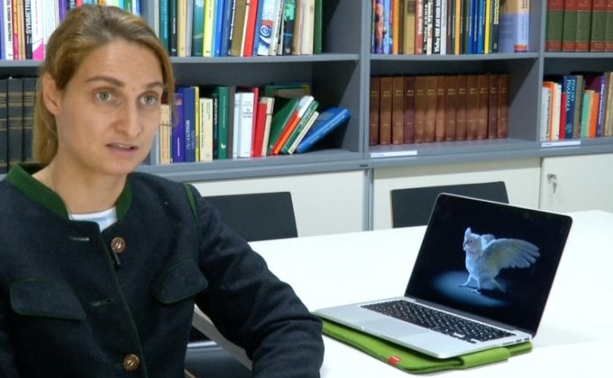 นกกระตั้วอาจฉลาดกว่าที่เราคิด