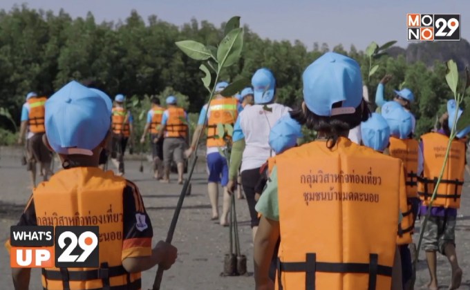 เอสซีจี เดินหน้ากิจกรรม “รักษ์น้ำ จากภูผา สู่มหานที”