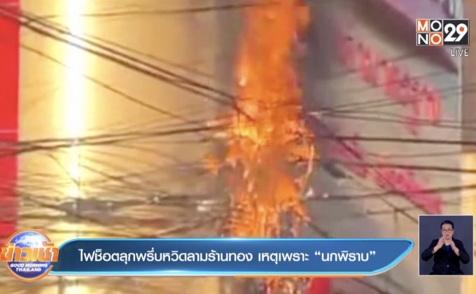 ไฟช็อตลุกพรึ่บหวิดลามร้านทอง เหตุเพราะ”นกพิราบ”