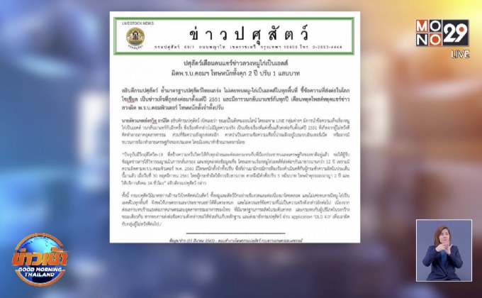 ปศุสัตว์ เตือนแชร์ข่าวลวงหมู-ไก่เป็นเอดส์ เจอโทษหนักคุก 2 ปี