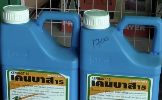 ชาวสวนยางฯ จ.ตรัง เห็นด้วยยกเลิกใช้สารเคมีอันตราย