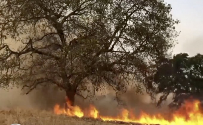 คาดแคลิฟอร์เนียตัดไฟกระทบผู้คนกว่า 2 ล้านคน