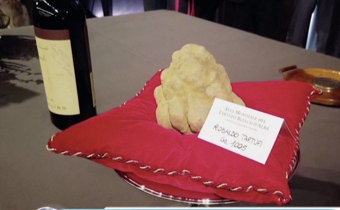 งานประมูลเห็ดทรัฟเฟิลขาวในอิตาลี