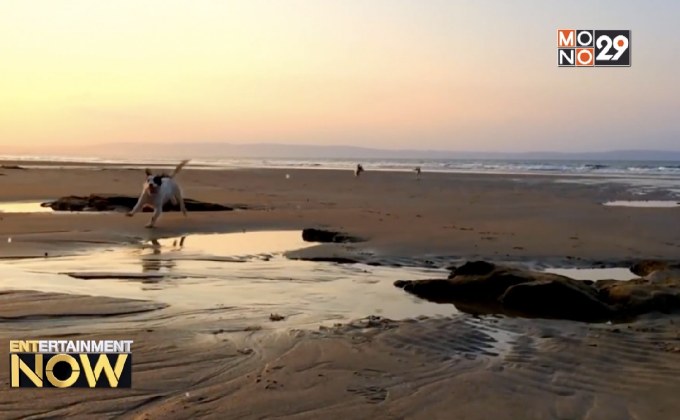 Tilda Swinton อวดฝีมือกำกับเอ็มวีเพลงโอเปร่าสุดประหลาด