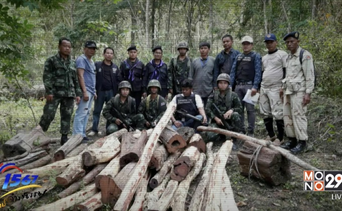 การแจ้งเบาะแสลักลอบตัดไม้พะยูง จังหวัดศรีสะเกษ (ตอนที่ 5)