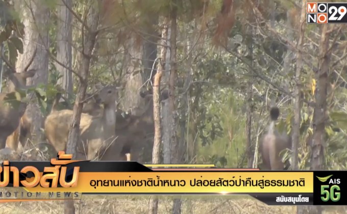 อุทยานแห่งชาติน้ำหนาว ปล่อยสัตว์ป่าคืนสู่ธรรมชาติ