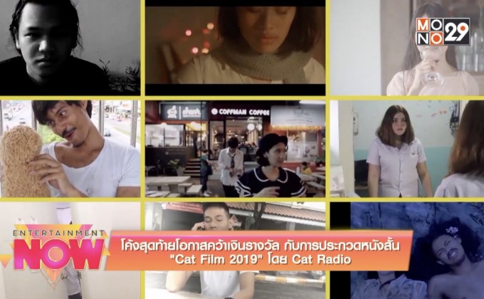โค้งสุดท้ายกับการประกวดหนังสั้น Cat Film 2019