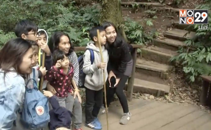 บรรยากาศท่องเที่ยวดอยอินทนนท์คึกคัก