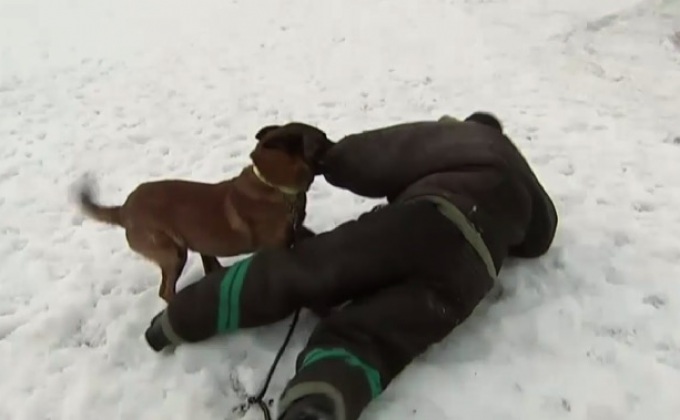 ฟาร์มหอยเป๋าฮื้อในสเปน