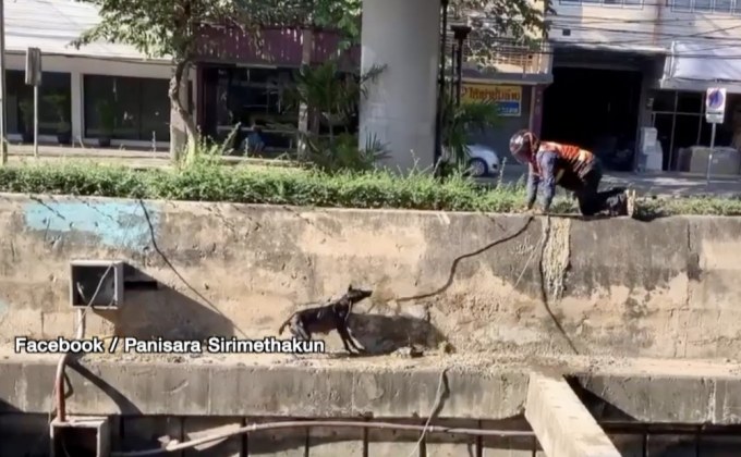 วินจยย.ใจพระช่วยสุนัขตกน้ำ