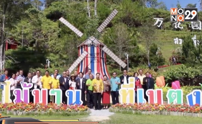 ชมทิวลิปในงานเทศกาลดอกไม้บานที่เบตง