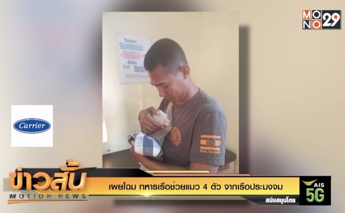 เผยโฉม ทหารเรือช่วยแมว 4 ตัว จากเรือประมงจม