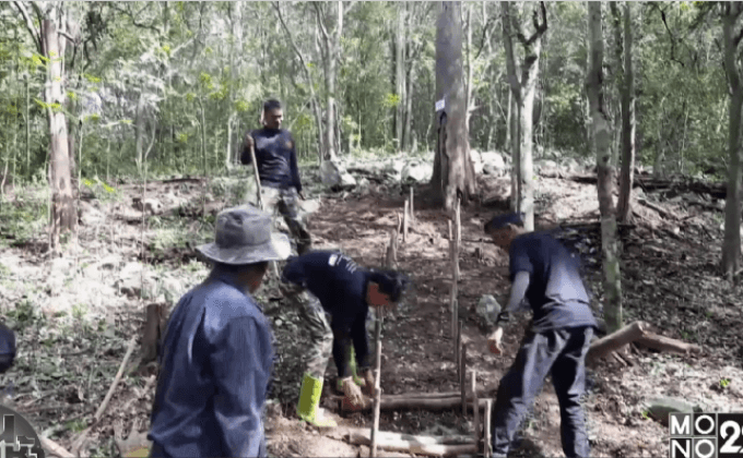 เตรียมตัดไม้จันทน์หอมบวงสรวง 14 พ.ย.นี้