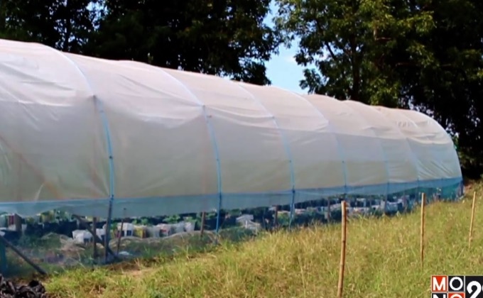 เกษตรกรตัวอย่างตามรอยพ่อ