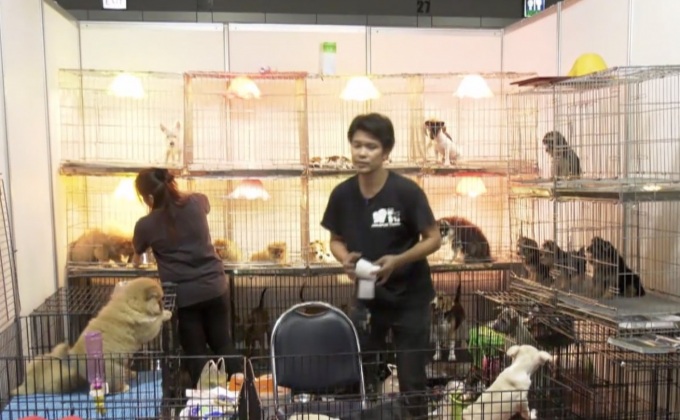 Thailand Best Shopping Fair 2017