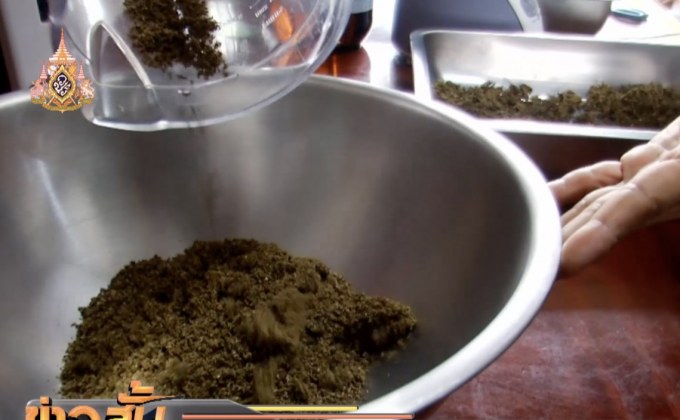 “อ.เดชา” ยืนยันแจกน้ำมันกัญชาเดือนหน้า