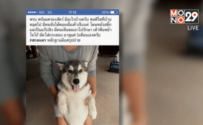 เจ้าของสุนัขไซบีเรียนแจ้งความสุนัขถูกฆ่า