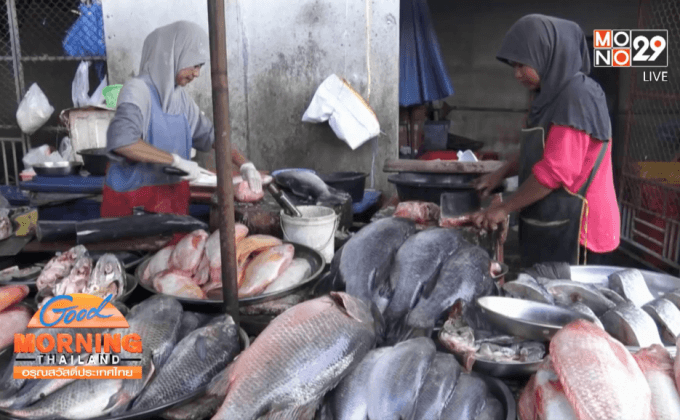 ผลกระทบคลื่นลมแรงภาคใต้