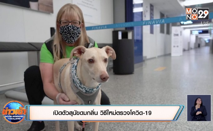 เปิดตัวสุนัขดมกลิ่น วิธีใหม่ตรวจโควิด-19