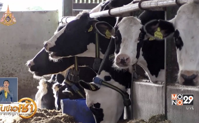 อังกฤษหาทางลดการปล่อยก๊าซแอมโมเนีย