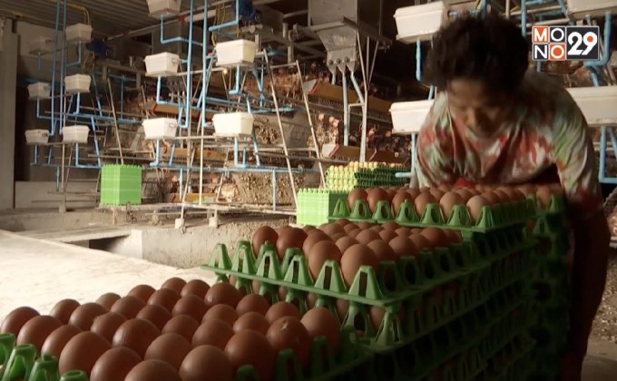 กรมการค้าภายในยันไข่ไก่มีเพียงพอสำหรับประชาชน