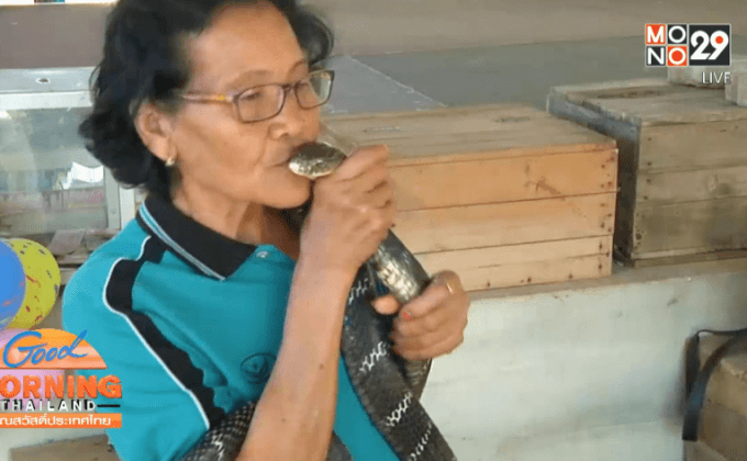 หมู่บ้านงูจงอางมั่นใจไม่มีเหตุการณ์งูกัดนักท่องเที่ยว