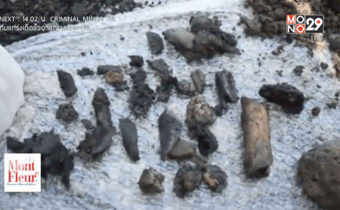 ญาติผู้สูญหายในเม็กซิโกเรียกร้องให้ตรวจ DNA