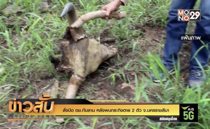 สั่งปิด อช.ทับลาน หลังพบกระทิงตาย 2 ตัว จ.นครราชสีมา