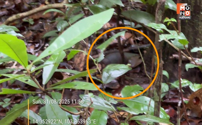 ลอบกัดไม่เลิก! กัมพูชาลอบวางระเบิดแสวงเครื่องละเมิดข้อตกลงฯ รุกล้ำดินแดนไทย