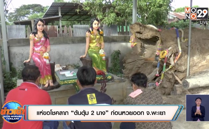 แห่ขอโชคลาภ “ต้นตุ้ม 2 นาง” ก่อนหวยออก จ.พะเยา