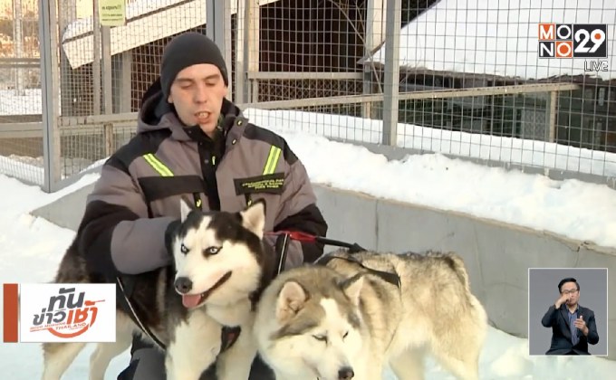 ชมความน่ารักของสุนัขในสวนสัตว์รัสเซีย